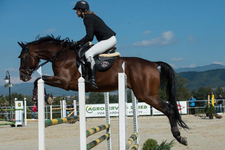 horse jumping Verbier