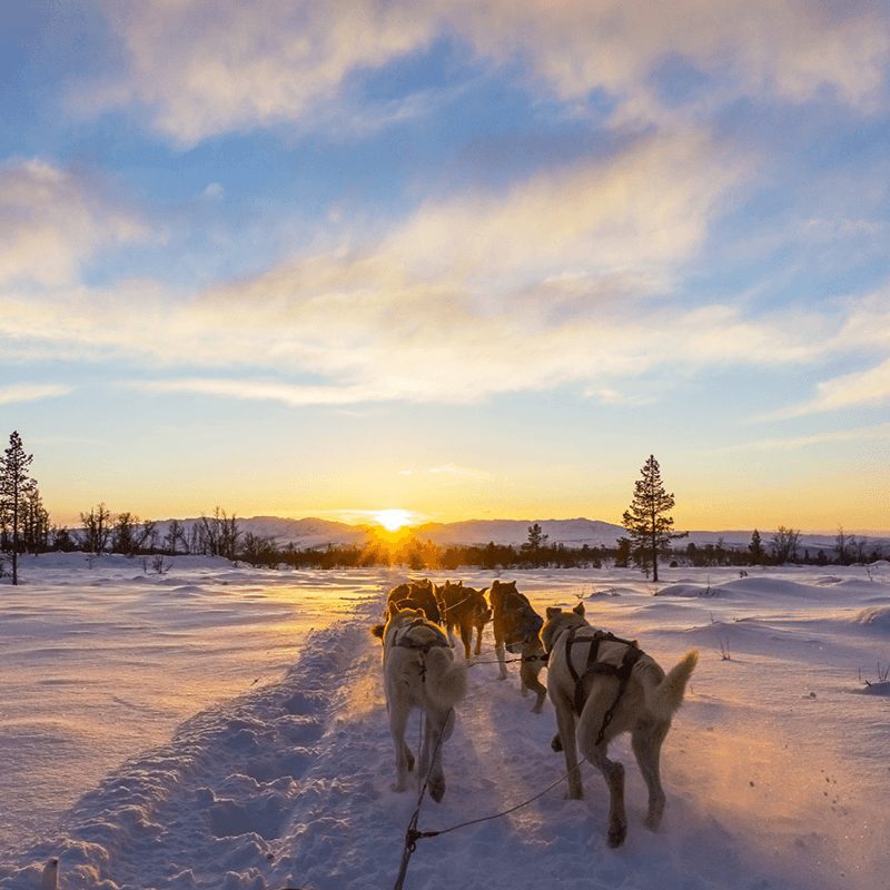 Luxury Lapland Holidays