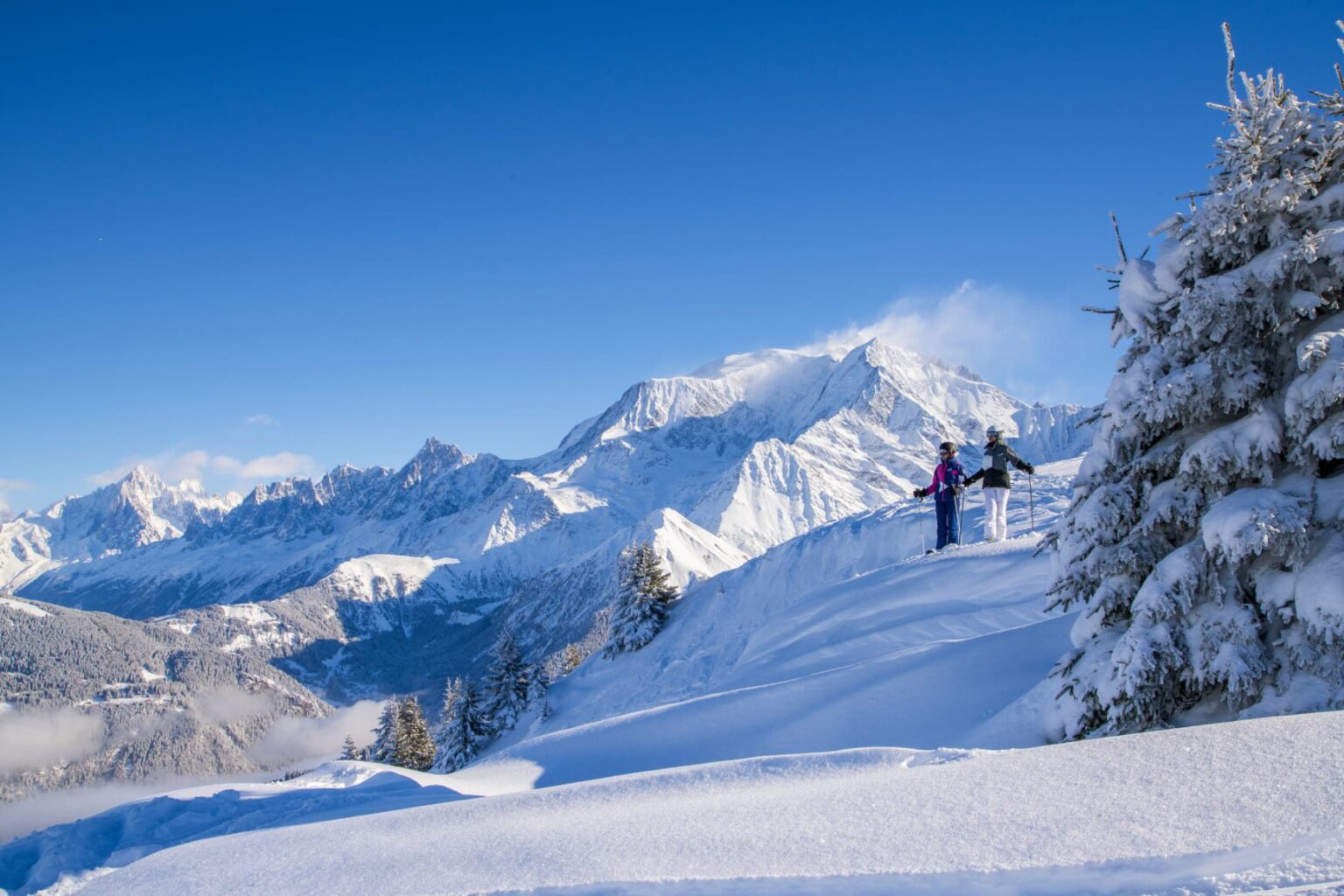 Luxury Chalets to rent in Saint Gervais