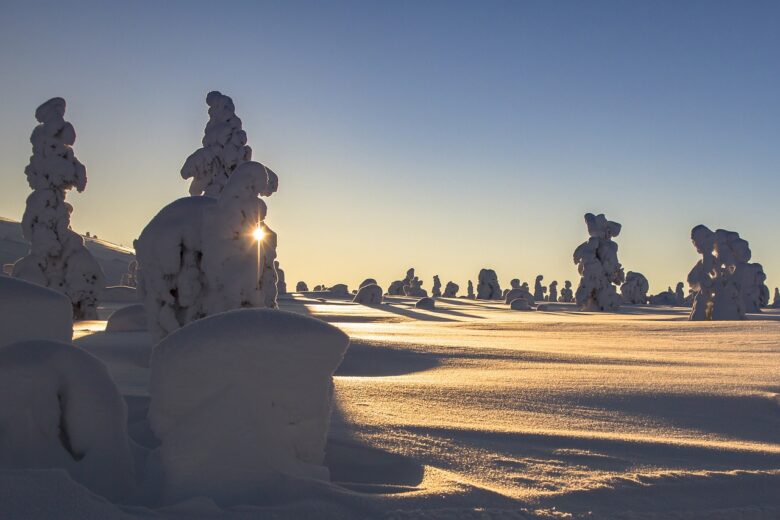 Snowy landscape in Lapland
