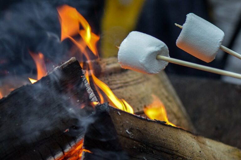 toasted marshmallow on fire pit