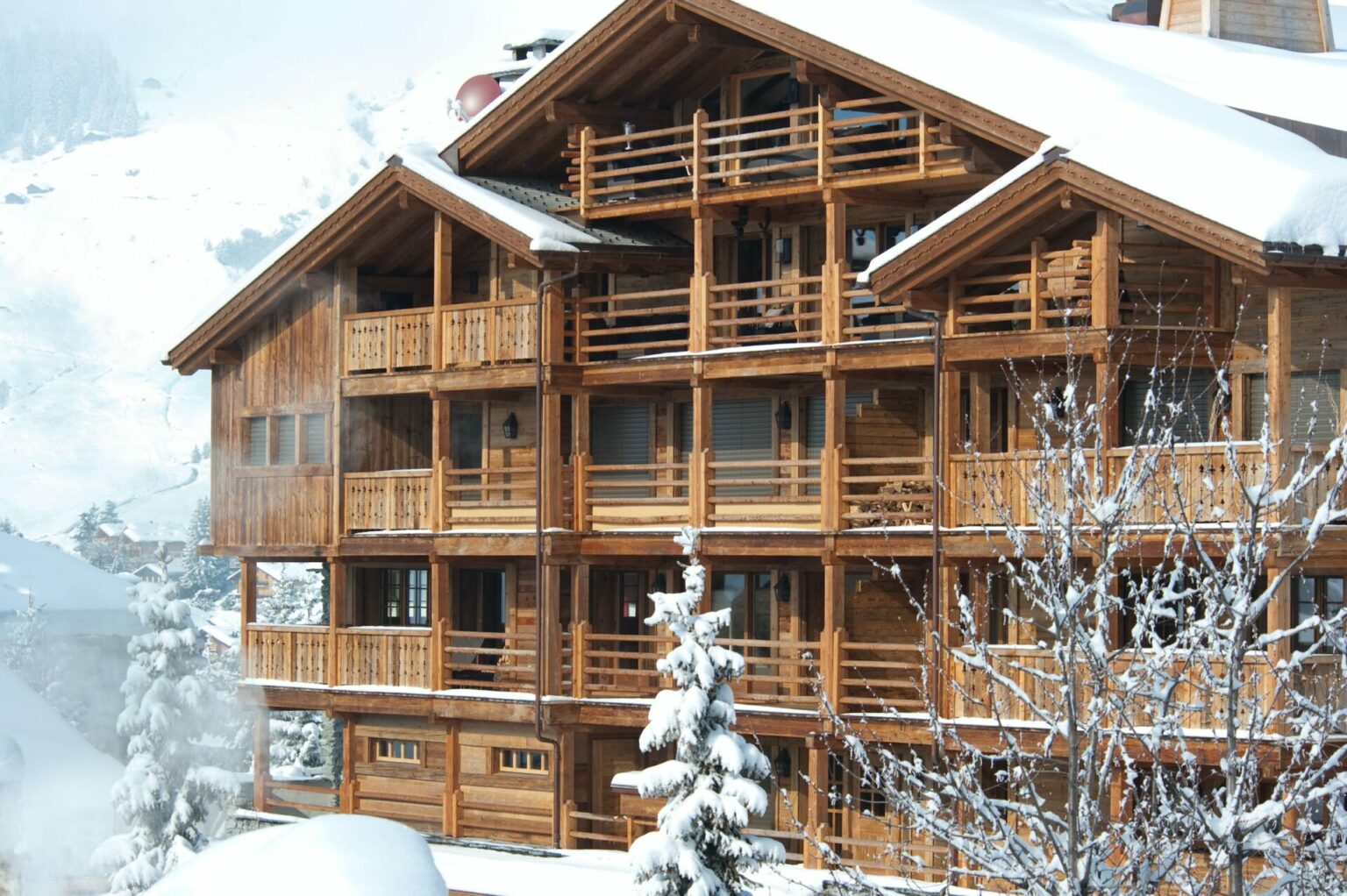 Apartment la Vallée Blanche, Verbier