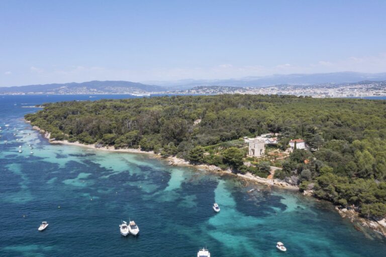 Le Grand Jardin, Cannes