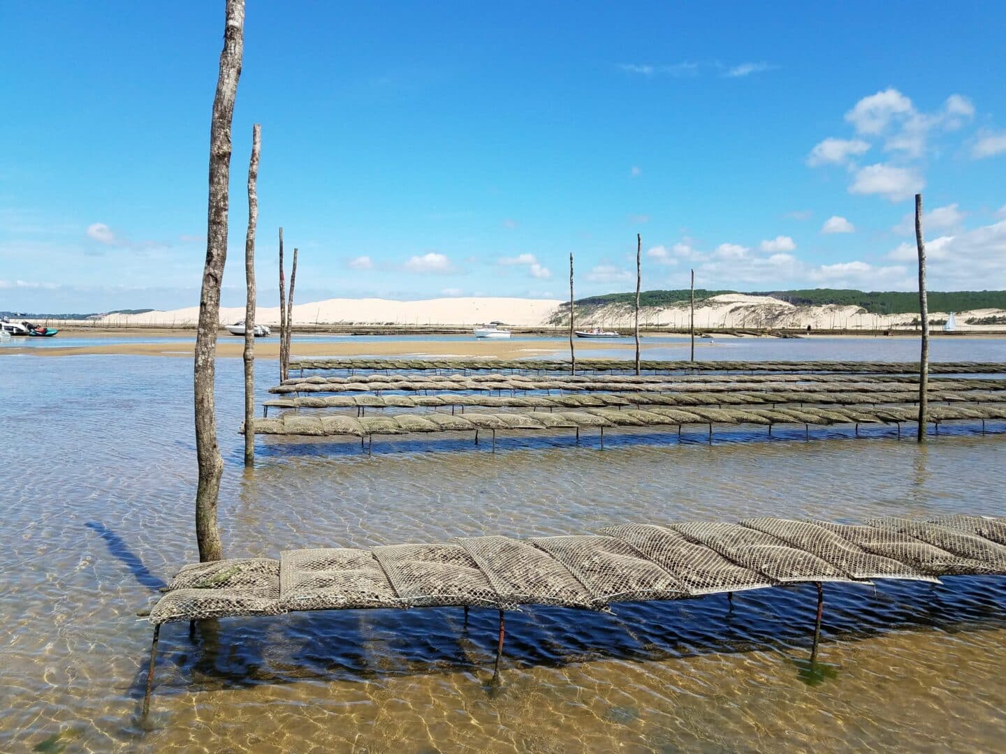 Arcachon bassin, Cap Ferret